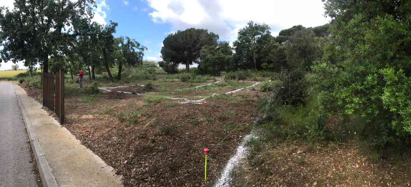 casa ACA, casa pasiva con biohabitabilidad